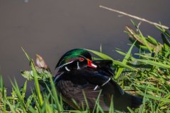 IMG_1836