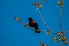 IMG_1852