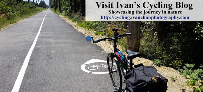 Cycling Blog